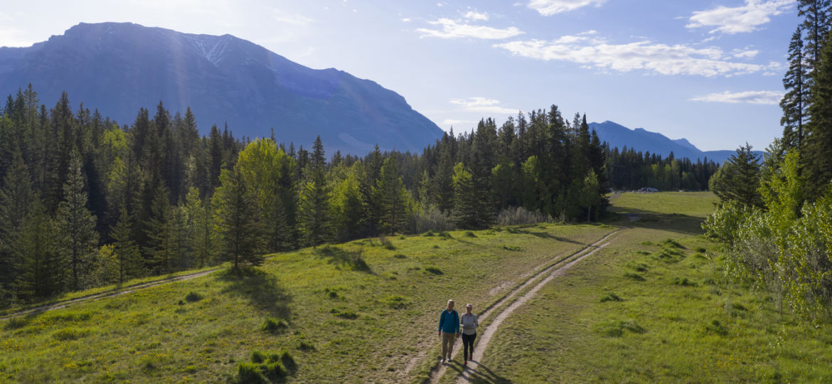 Mature couple walk on trail through grassy meadow